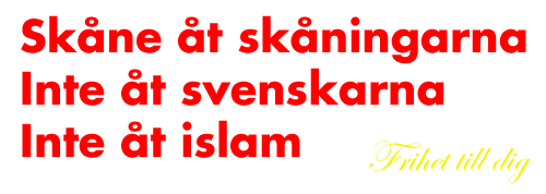 Nyhet